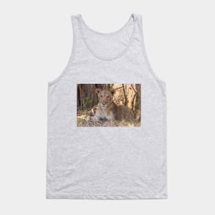 Lioness in the shade Tank Top